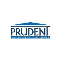 prudent insurance brokers pvt ltd. logo image