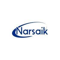 narsaik logo image