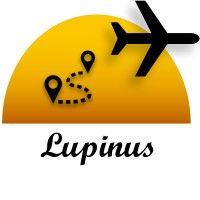 lupinus travel agency logo image