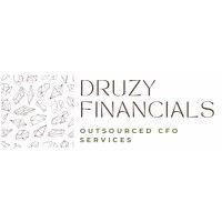 druzy financials logo image