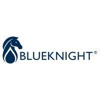 blueknight™ logo image