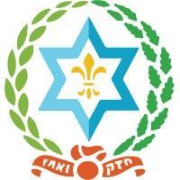 camp shomria |hashomer hatzair usa logo image