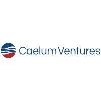 caelum ventures logo image