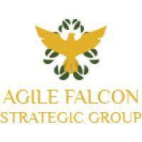 agile falcon strategic group llc. logo image