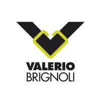 valerio brignoli srl logo image