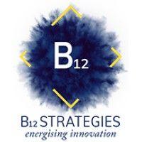 b12 strategies logo image