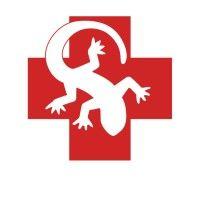 amphibious medics logo image