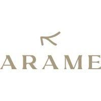 arame logo image