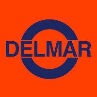 delmar systems logo image