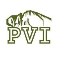 pvi cm inc logo image