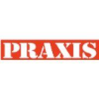 praxis logo image