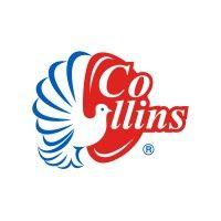 grupo collins logo image