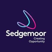 sedgemoor district council