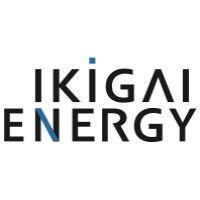 ikigai energy