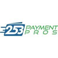 253 payment pros logo image