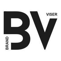 the brandviser logo image