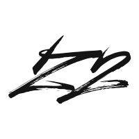 z2 consulting & business services logo image