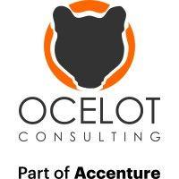 ocelot consulting