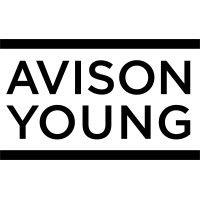 avison young | vn logo image