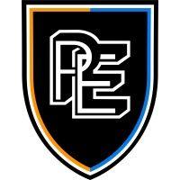 pro elite football academy logo image