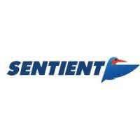 sentient vision systems logo image