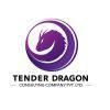 tender dragon consulting company pvt ltd logo image