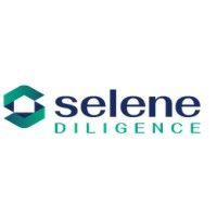 selene diligence llc logo image