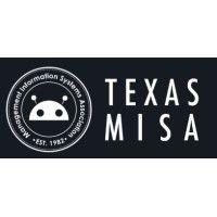 management information systems association - ut austin logo image