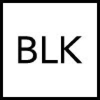 blkbox.ai logo image