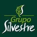 logo of Grupo Silvestre