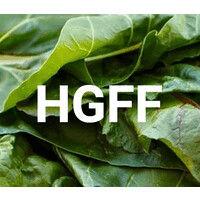 hawai'i greens freight farm logo image