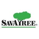 logo of Savatree