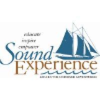 sound experience logo image