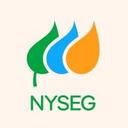 logo of New York State Electric Gas