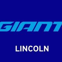 giant lincoln logo image