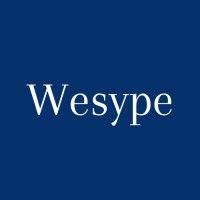 wesype logo image