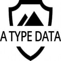 a type data logo image