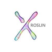 roslin design logo image