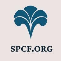 the spartanburg county foundation logo image