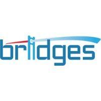 bridges consulting logo image