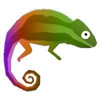 rainbow chameleon corp logo image