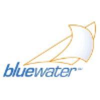 bluewater - transaction advisors