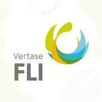 vertasefli limited logo image