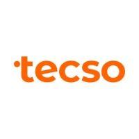 tecso logo image