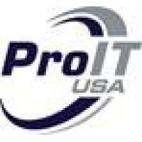 pro it usa logo image