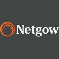 netgow logo image