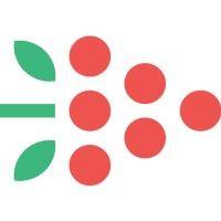 knowledge berries logo image