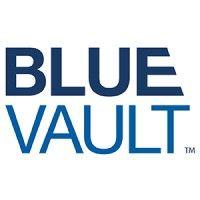 blue vault logo image