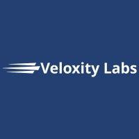 veloxity labs, llc logo image