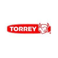 torrey méxico logo image